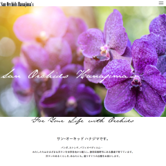 サンサン・オーキッド会社案内サイト